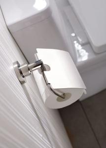 Quality ODM Recessed Bathroom Toilet Paper Holder Wall mounted wholesale