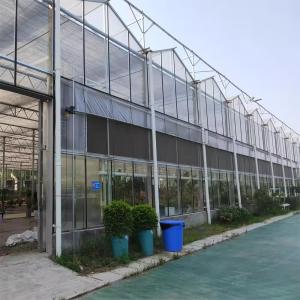 Quality Snow Resistant Luxury Multi-span Agricultural Venlo Glass Greenhouse For Vegetable Growing wholesale
