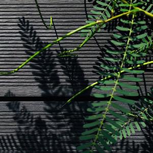 Quality Sturdy Wood Plastic Composite Panel Boards Fireproof Lightweight wholesale