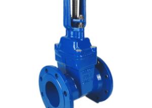 China PN10 Soft Seal Gate Valve Flange Drain Ductile Iron Industrial Control Valves on sale