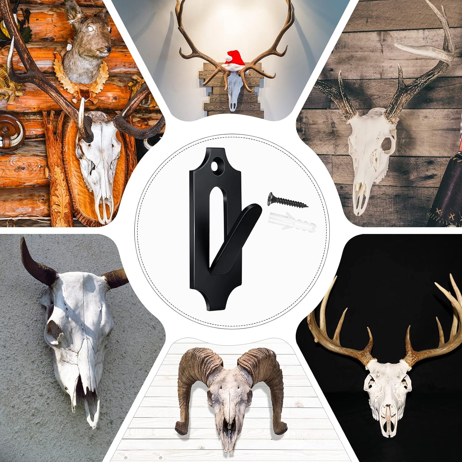 European Mount Skull Hanger Multifunctional Display Stand for Deer Mountain Skeleton