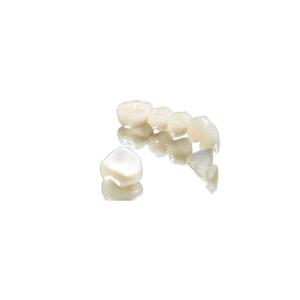 Quality Strong Stability Dental Crown Bridge Double Ended Nichrome Experience wholesale
