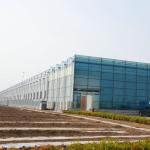 10x10 10x12 10x6 Aluminum Venlo Glass Greenhouse Grow Rose With Cooling System