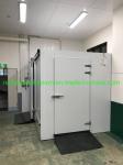30/20/10 Cubic Meters Direct Cooling Cold Storage Room for Fish Meat Vegetables