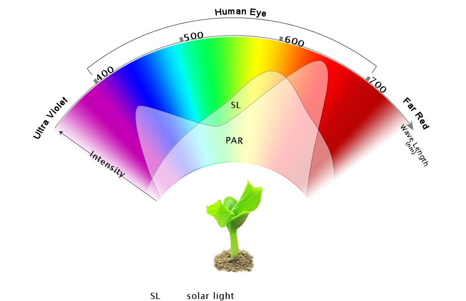 Aeroponics System Apollo-10 LED Grow Light for Greenhouse,Phantom Dimmable LED Hydro Light