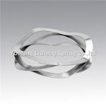 C Series Stainless Steel Wave Spring