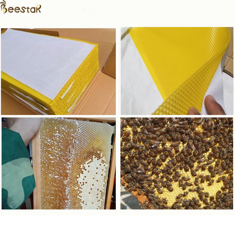 100% Pure Natural Beeswax Honeycomb Frame 70-110g