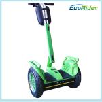 Green Balance Electric Scooter Segway Human Transporter / Power Electric