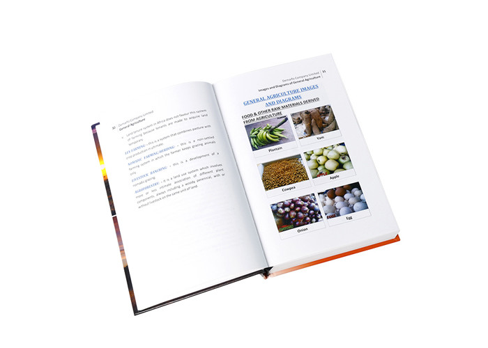 Eco Friendly CMYK Color Cardboard Hardcover Book Printing For Children In Bulk