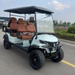 6 Passenger Off-road Buggy Automatic Lightweight Electric Golf Cart Customized