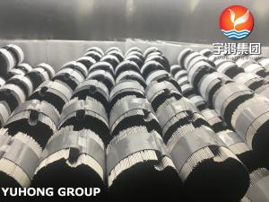 China Stainless Steel Hypodermic Needle Tube SUS304 SUS316L on sale