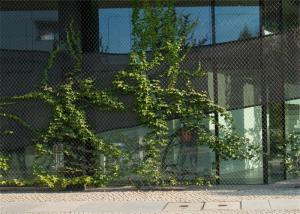 Quality Weave X - Tend Stainless Steel Cable Mesh Customized Size Safety Netting wholesale