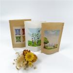 Kraft Paper MOPP VMPET Stand Up Bags 18x26cm