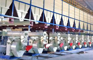 Quality Moving Floor Discharge Wood Chip Pellet Production Line Automated wholesale