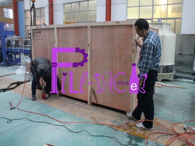 2L 2000BPH Carbonated Bottle Blow Molding Machine Double Cavity Automatic