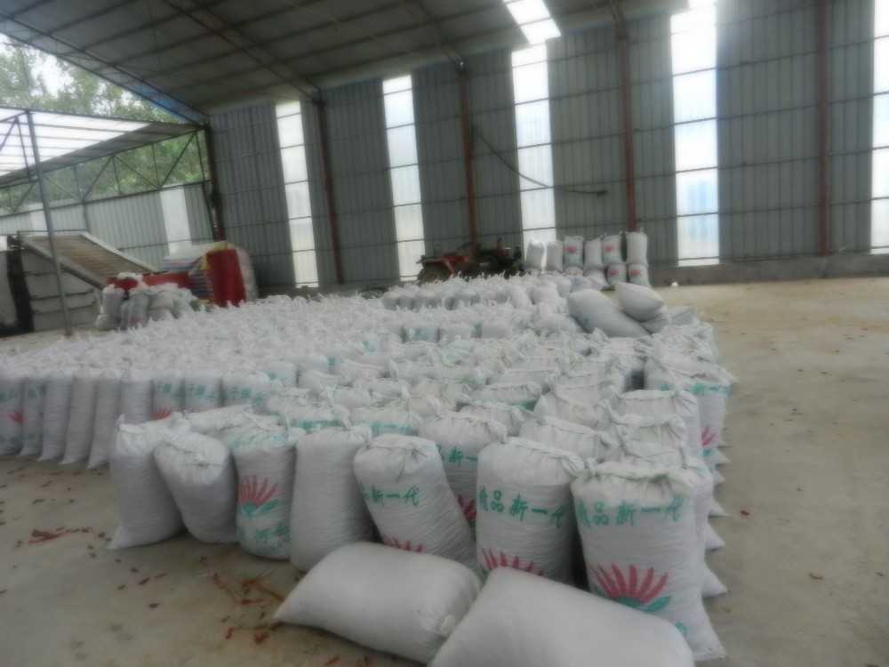 High Fruitiness Erjingtiao Dried Chilis For Chili Oils Ingredients