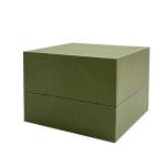Velvet Luxury Watch Packaging Box With Gold Frame
