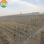 User-Friendly Single-Span Agricultural Greenhouses for Large Agricultural