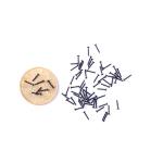 304 Stainless Steel Washer Head Screw Mushroom Head Screw Cross Tapping Screw M0