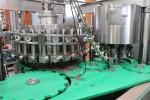 Plastic Bottle Sauce Filling Machine Rotary Type Juice Bottling Machine