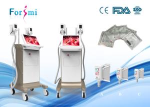 Quality 2016 professional cryolipolysis slim freeze cells machine/cryolipolysis Freeze Fat machine wholesale