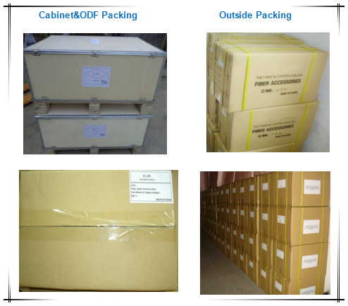 Outdoor Metal Fiber Optic Termination Box 12cores  with Cold roll steel material