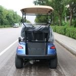 Luxury Blue 2 Seater Electric Golf Cart Lead-Acid Battery Lithium Battery