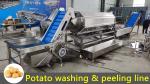 Big Capacity Continuous Brush Potato Peeling Machine Carrot Washing and