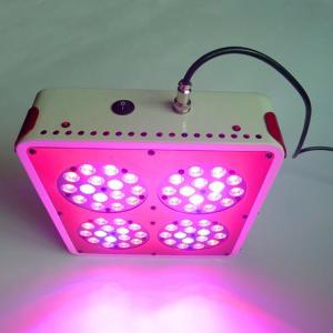 Quality Discount newly design 180w apollo 4 led grow light wholesale