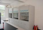 Acid Resistant Desktop Fume Cupboard , Floor Standing Chemistry Fume Hood
