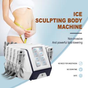 Quality Non Vacuum Pads Cryolipolysis Fat Freeze Slimming Machine OEM ODM wholesale