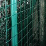 ISO9001 Certified Galvanized PVC Coated Garden Wire Fencing 50mm X50mm
