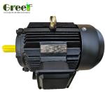 3MW 2MW Pm Motor Customized Low Speed Efficiency 95%