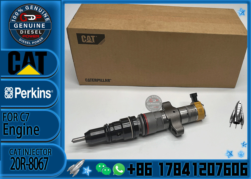 Diesel Engine Parts Common Rail Fuel Injector 20R-8067 for CAT C7 Diesel Engine CNDIP Factory price