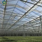 Commercial Lettuce Greenhouse Low Maintenance Weather Resistant