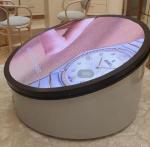 Indoor HD Creative Round LED Display Advertising Full Color