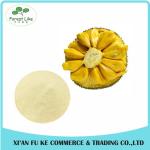 High Quality Natural Jackfruit Extract Powder