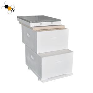 Quality 20mm Thick 10 Frames White Wood Pine Bee Hive wholesale