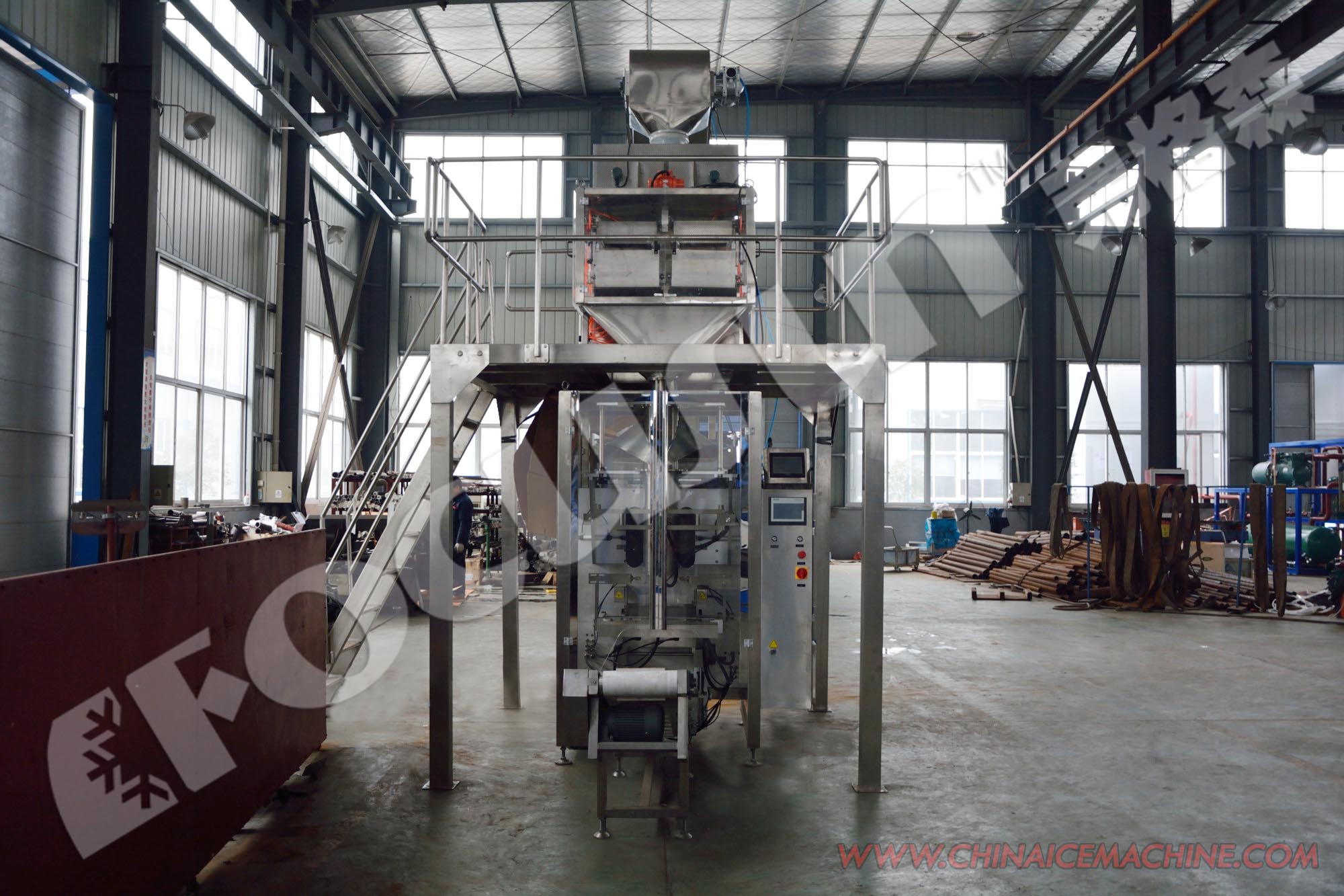 Ice Filling Material Fully Automatic Ice Packer for Time-Saving Packaging Solutions