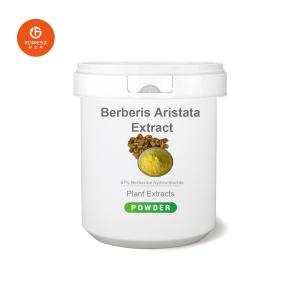 Quality Food Grade 80% Silymarin 30% Silybin Isosilybin Milk Thistle Extract wholesale