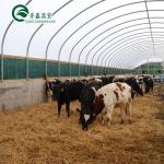 Automatic Controlling Box Aquaponics Film Greenhouse for Animals Growing Tent