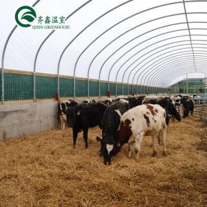 Quality Automatic Controlling Box Aquaponics Film Greenhouse for Animals Growing Tent Customizable Size wholesale