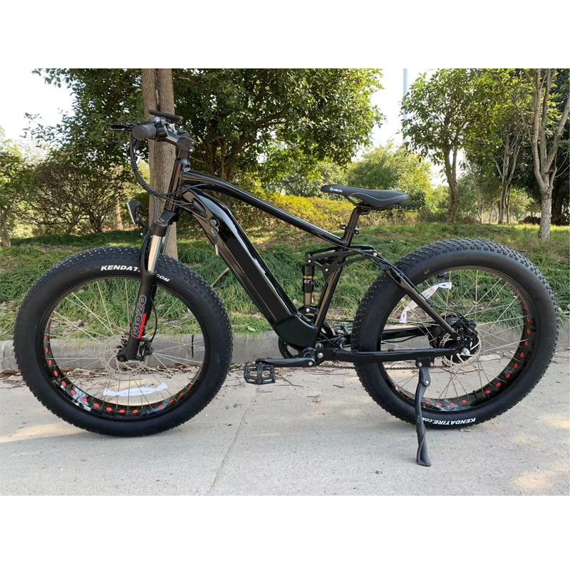 Aluminum Alloy Frame 26*4.0 Fat Tire Electric Bike with Customized Multicolored Design