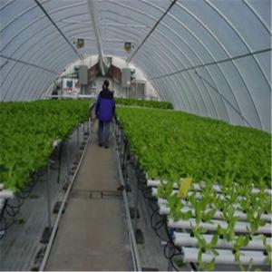 Quality Professional Intelligent Glass Greenhouse For Tomato / Pepper / Cucumber wholesale