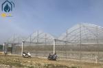 Film Multi Span Nursery Greenhouse Prefabricated Hydroponic System Greenhouse