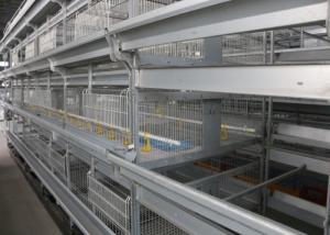 Quality Industrial Broiler House Equipment Wire Chicken Cages ISO9001 Approved wholesale