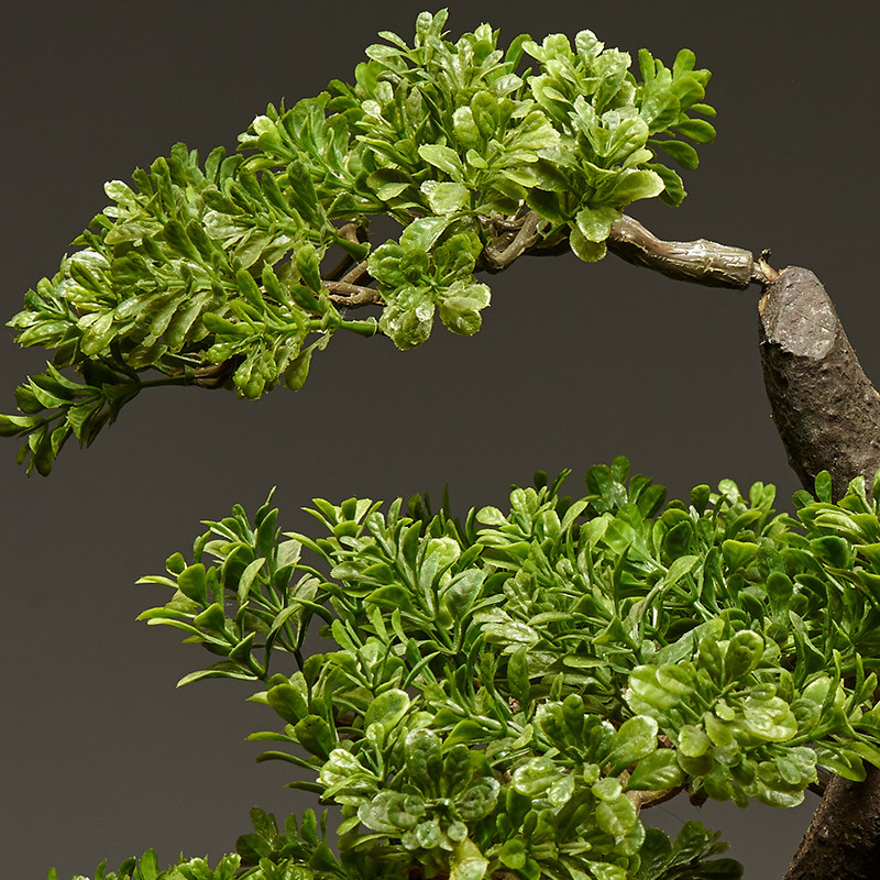 OEM High Imitation Artificial Landscape Trees For Airports