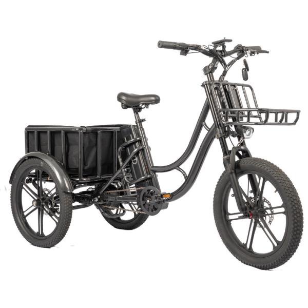 Customized Color Electric Fat Tire ebike 48V 500W Motor LCD Display Family Cargo