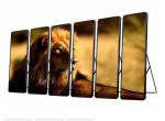Aluminum Profile Cabinet IP40 P3 Outdoor LED Display