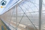 Multi Span Agriculture Greenhouse For Sustainable Crop Cultivation